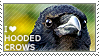 I love Hooded Crows by WishmasterAlchemist