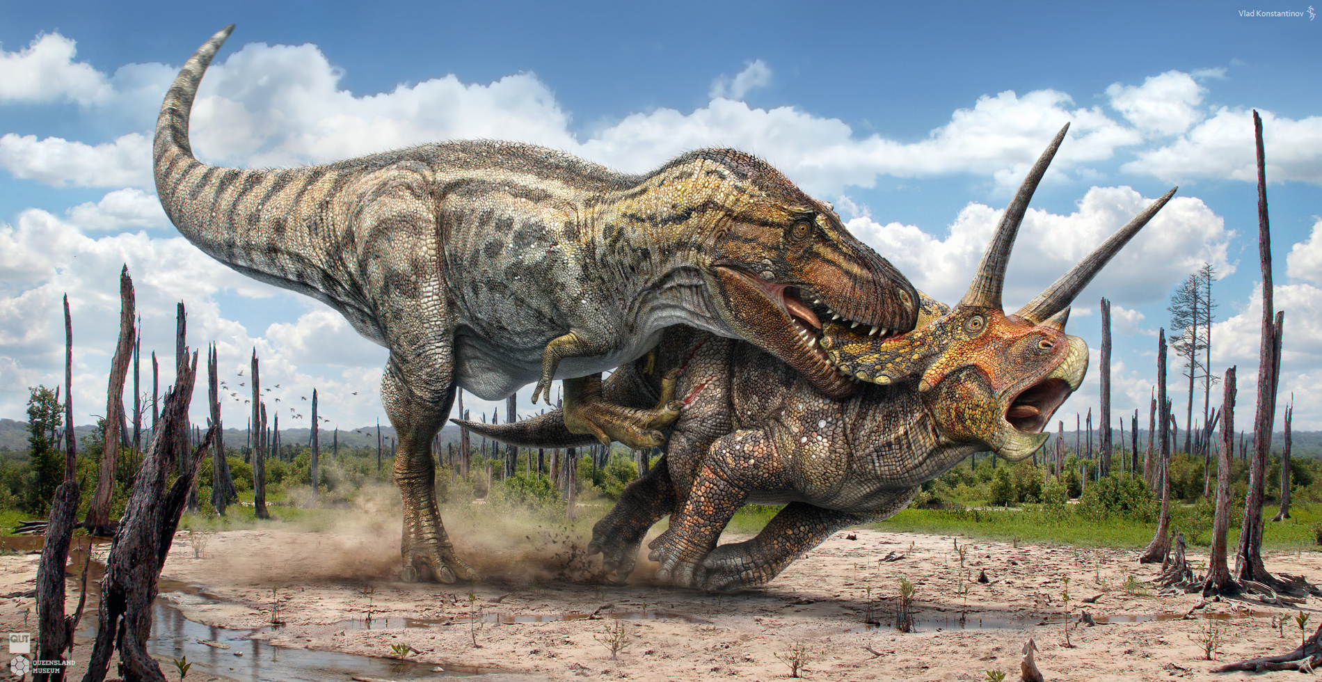 Resultado de imagen para triceratops vs t rex