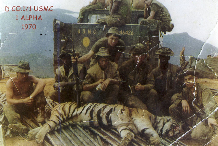 Foro De Historia Militar El Gran Capitán • Ver Tema Tigres Cazados