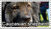 caucasian_shepherd_dog_stamp_by_tollerka.png