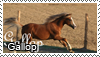 gallop_stamp_by_tollerka.png