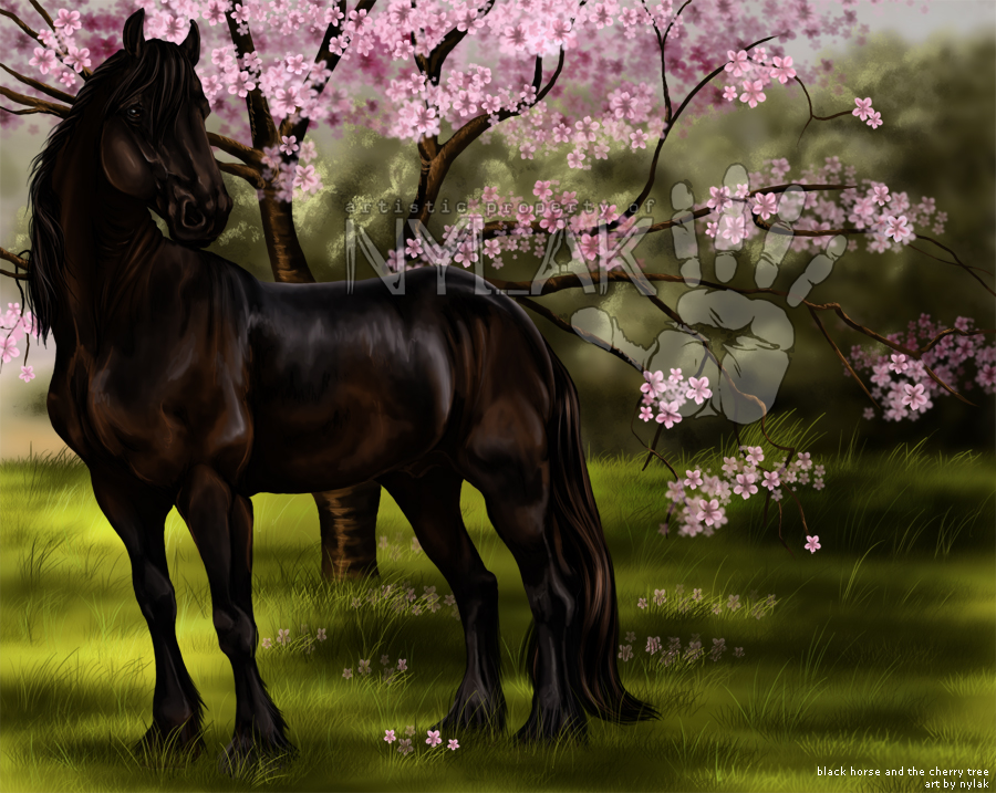 Black Horse + The Cherry Tree by Nylak