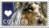Collie Love Stamp by cloudrat