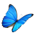 Butterfly icon.23