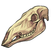 Caribou skull by noebelle