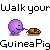 :Walk your Guinea Pig: