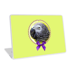 African Grey Parrot Realistic Painting Laptop Skin