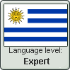 Uruguayan Spanish language level EXPERT by TheFlagandAnthemGuy