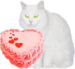 White cat with a pink cake 150px by EXOstock
